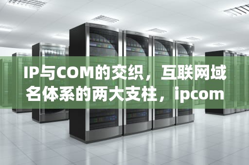 IP与COM的交织，互联网域名体系的两大支柱，ipcom是哪家公司的
