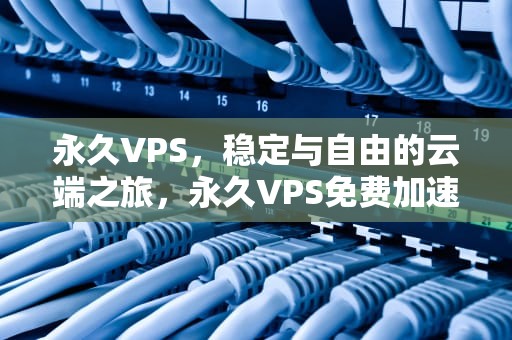 永久VPS，稳定与自由的云端之旅，永久VPS免费加速器