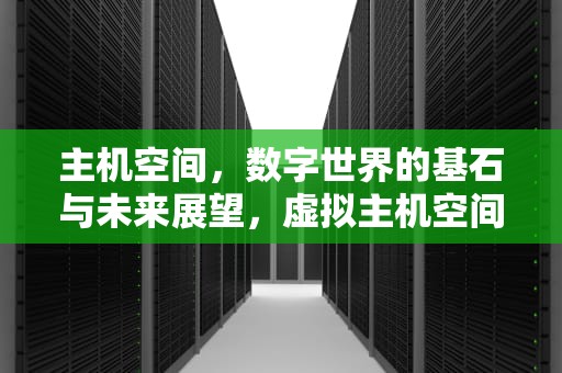 主机空间，数字世界的基石与未来展望，虚拟主机空间