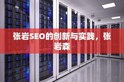 张岩SEO的创新与实践，张岩森