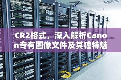 CR2格式，深入解析Canon专有图像文件及其独特魅力，cr2什么格式图片