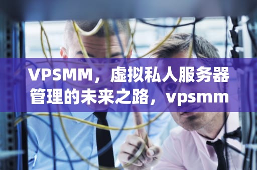 VPSMM，虚拟私人服务器管理的未来之路，vpsmm地址变更