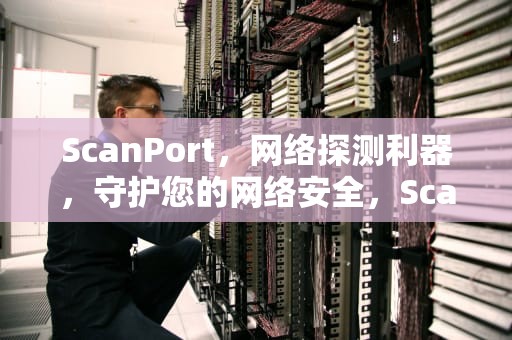 ScanPort，网络探测利器，守护您的网络安全，ScanPort端口扫描工具