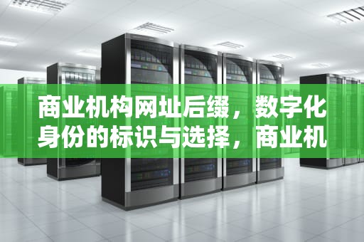 商业机构网址后缀，数字化身份的标识与选择，商业机构网址后缀名