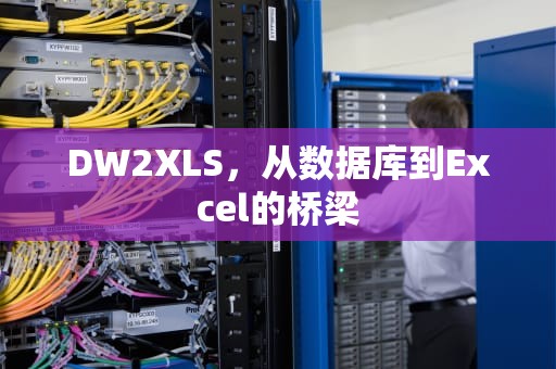 DW2XLS，从数据库到Excel的桥梁