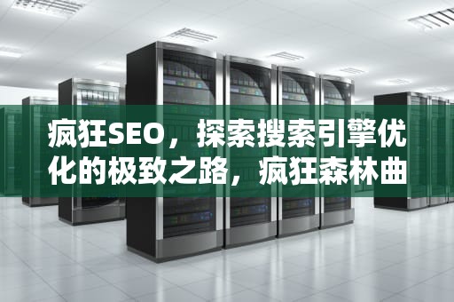 疯狂SEO，探索搜索引擎优化的极致之路，疯狂森林曲