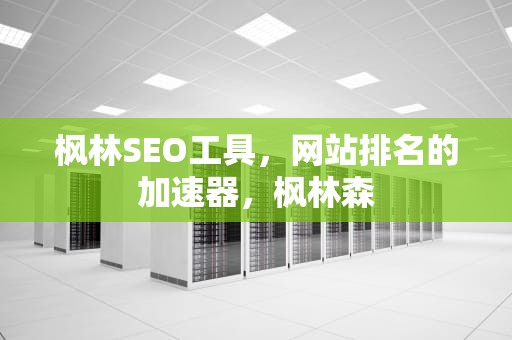 枫林SEO工具，网站排名的加速器，枫林森