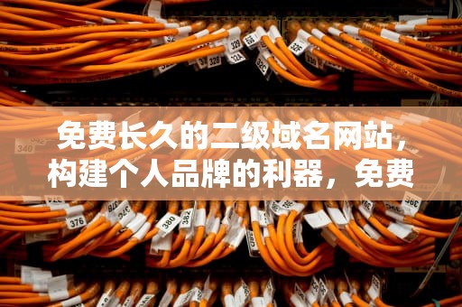 免费长久的二级域名网站，构建个人品牌的利器，免费二级域名查询网站