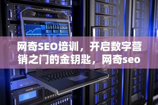 网奇SEO培训，开启数字营销之门的金钥匙，网奇seo赚钱培训