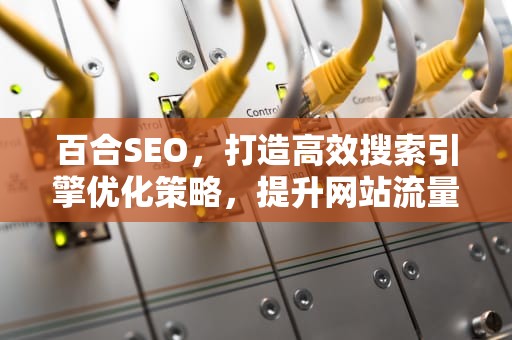 百合SEO，打造高效搜索引擎优化策略，提升网站流量与品牌影响力，百合色的意思