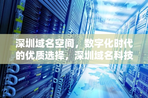 深圳域名空间，数字化时代的优质选择，深圳域名科技有限公司