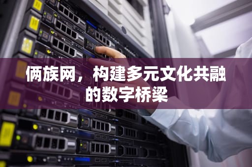 俩族网，构建多元文化共融的数字桥梁