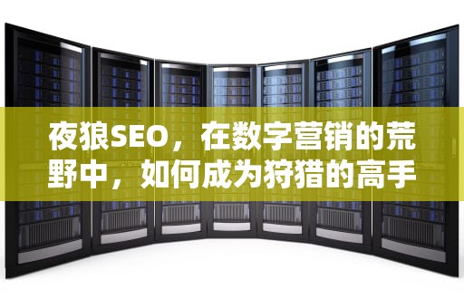 夜狼SEO，在数字营销的荒野中，如何成为狩猎的高手，seo短视频网页入口引流