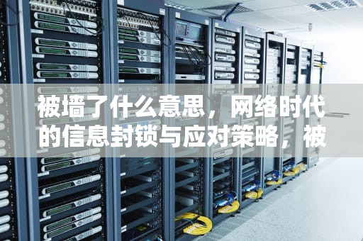被墙了什么意思，网络时代的信息封锁与应对策略，被墙了啥意思