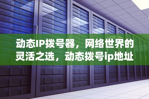 动态IP拨号器，网络世界的灵活之选，动态拨号ip地址