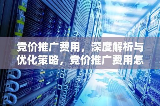 竞价推广费用，深度解析与优化策略，竞价推广费用怎么算