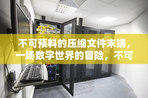 不可预料的压缩文件末端，一场数字世界的冒险，不可预料的压缩文件末端什么意思