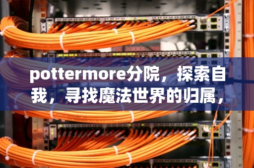 pottermore分院，探索自我，寻找魔法世界的归属，pottermore分院翻译