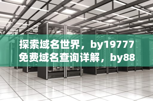 探索域名世界，by19777免费域名查询详解，by8823域名查询