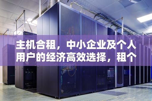 主机合租，中小企业及个人用户的经济高效选择，租个主机