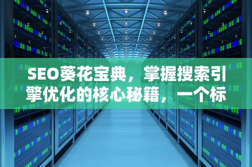 SEO葵花宝典，掌握搜索引擎优化的核心秘籍，一个标题为葵花宝典的网站