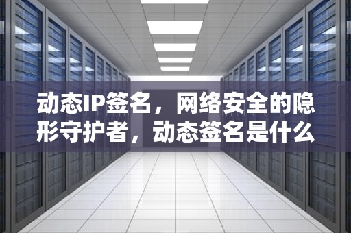 动态IP签名，网络安全的隐形守护者，动态签名是什么