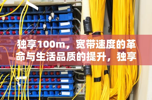 独享100m，宽带速度的革命与生活品质的提升，独享100m宽带