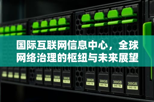 国际互联网信息中心，全球网络治理的枢纽与未来展望，国际互联网信息中心简称