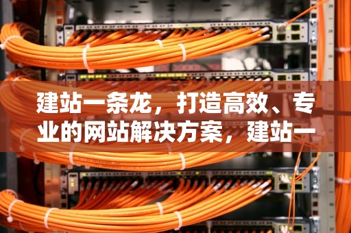 建站一条龙，打造高效、专业的网站解决方案，建站一条龙设计制作