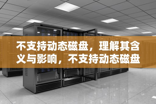 不支持动态磁盘，理解其含义与影响，不支持动态磁盘怎么办