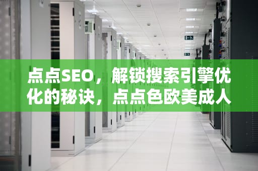 点点SEO，解锁搜索引擎优化的秘诀，点点色欧美成人网站