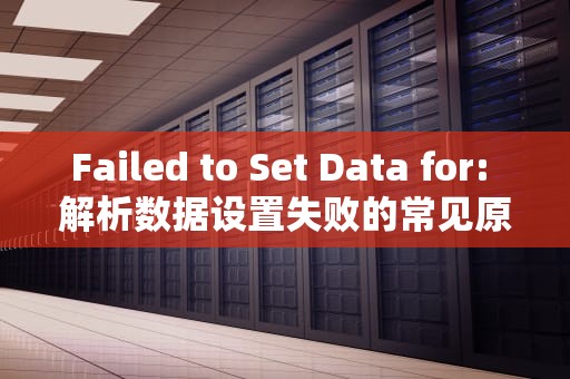 Failed to Set Data for: 解析数据设置失败的常见原因与解决策略，failedtosetdatafor怎么解决
