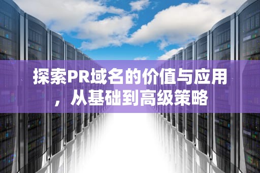 探索PR域名的价值与应用，从基础到高级策略