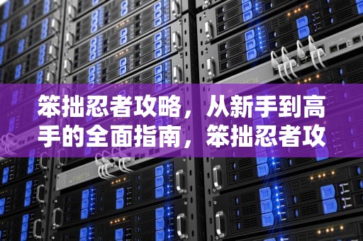 笨拙忍者攻略，从新手到高手的全面指南，笨拙忍者攻略大全