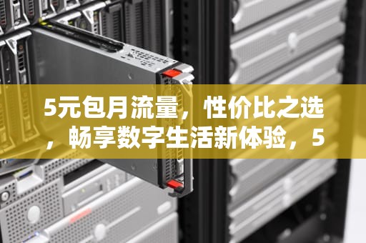 5元包月流量，性价比之选，畅享数字生活新体验，5元包月流量是多少