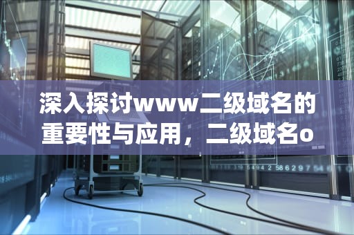 深入探讨www二级域名的重要性与应用，二级域名org
