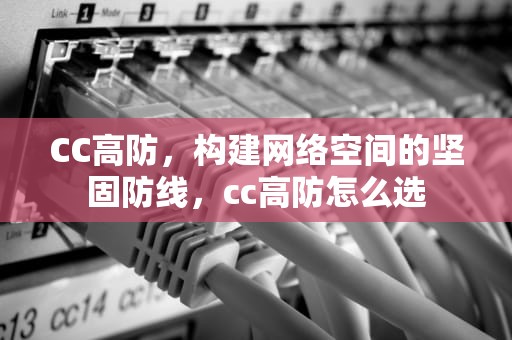 CC高防，构建网络空间的坚固防线，cc高防怎么选