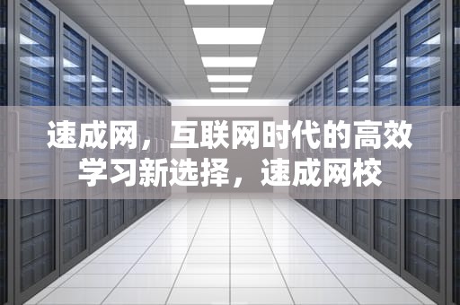速成网，互联网时代的高效学习新选择，速成网校