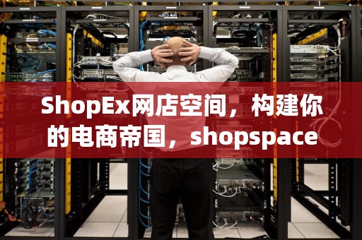 ShopEx网店空间，构建你的电商帝国，shopspace