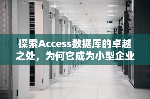 探索Access数据库的卓越之处，为何它成为小型企业和个人用户的首选，access数据库的优点和缺点