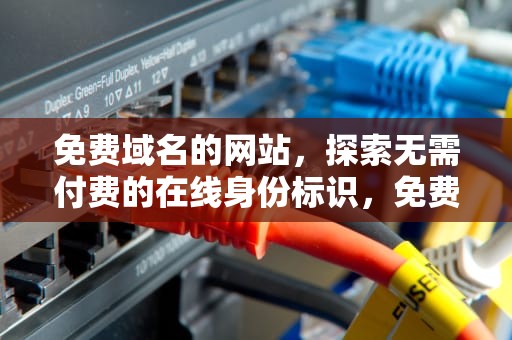 免费域名的网站，探索无需付费的在线身份标识，免费域名的网站动漫