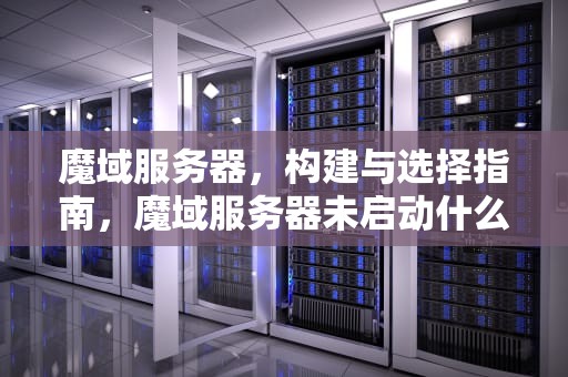 魔域服务器，构建与选择指南，魔域服务器未启动什么意思