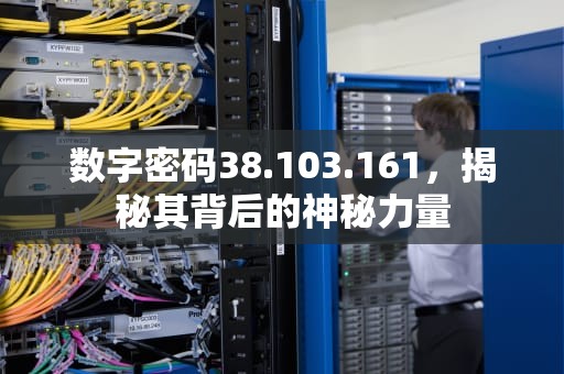 数字密码38.103.161，揭秘其背后的神秘力量