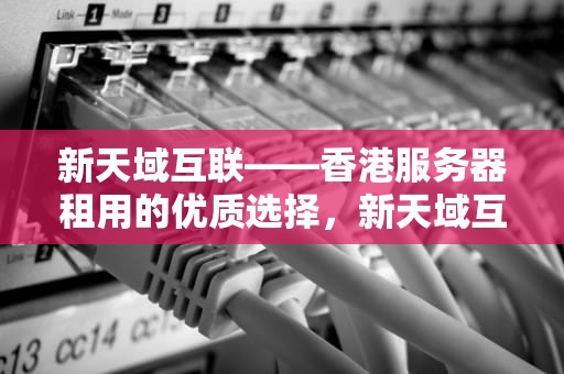 新天域互联——香港服务器租用的优质选择，新天域互联有限公司