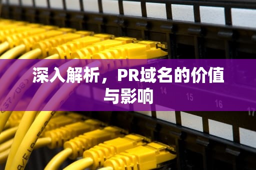 深入解析，PR域名的价值与影响