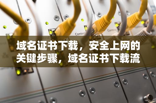 域名证书下载，安全上网的关键步骤，域名证书下载流程