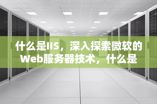 什么是IIS，深入探索微软的Web服务器技术，什么是IIS