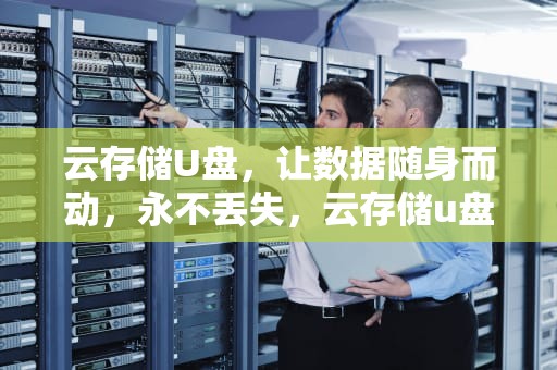 云存储U盘，让数据随身而动，永不丢失，云存储u盘什么意思