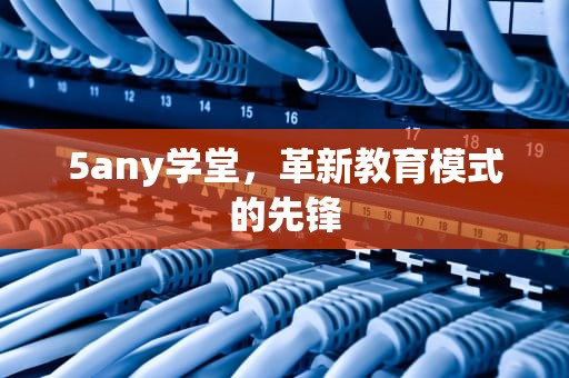 5any学堂，革新教育模式的先锋