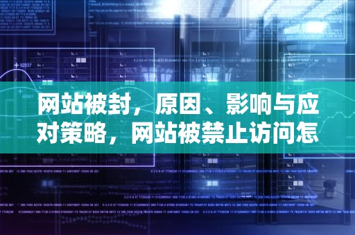 网站被封，原因、影响与应对策略，网站被禁止访问怎么打开